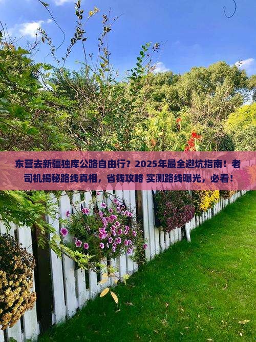 东营去新疆独库公路自由行