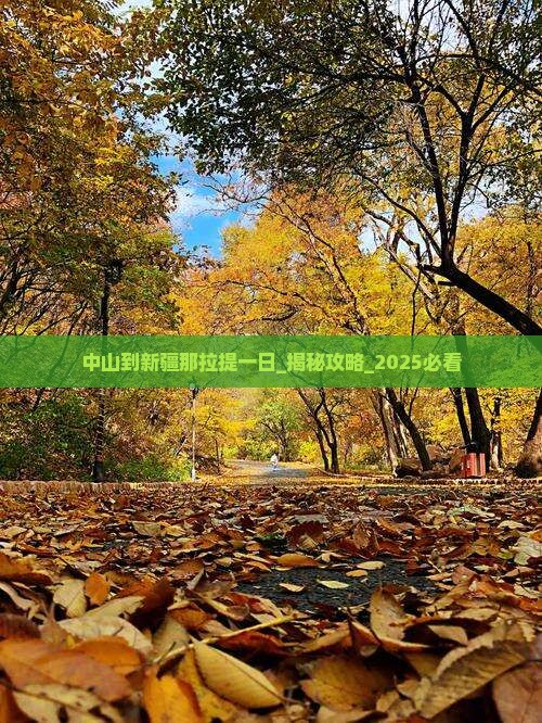 中山到新疆那拉提一日