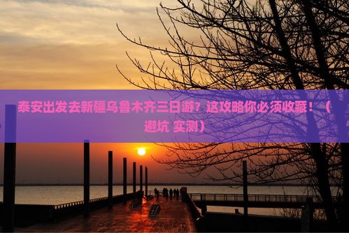 泰安去新疆乌鲁木齐三日游