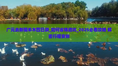 广元去新疆禾木四日游