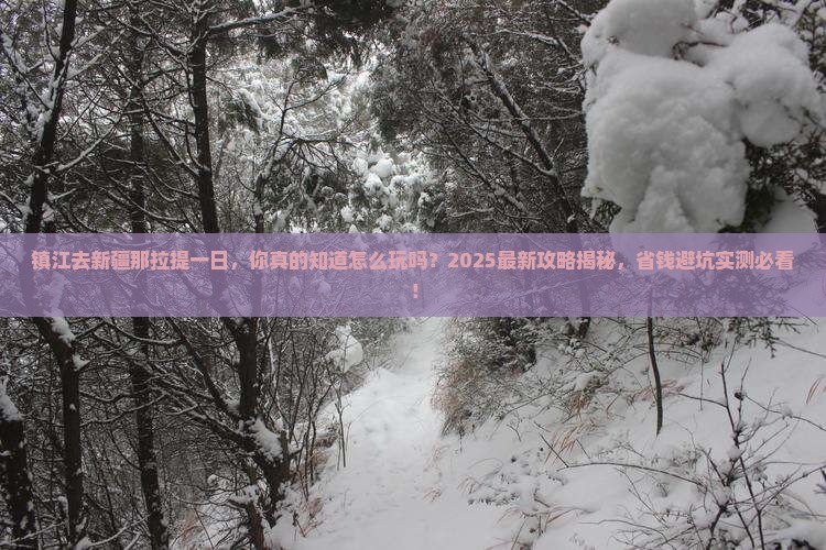 镇江去新疆那拉提一日
