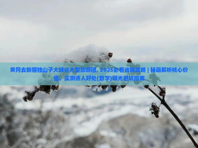 黄冈去新疆独山子大峡谷大型旅游团