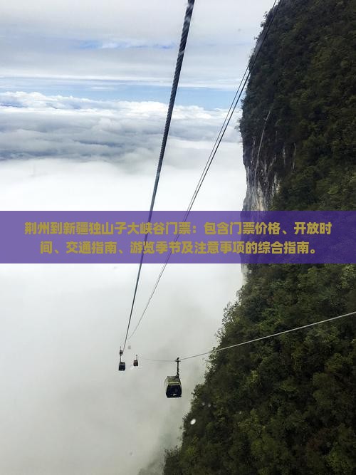 荆州到新疆独山子大峡谷门票