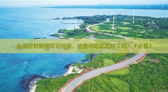 临汾到新疆可可托海旅游小吃