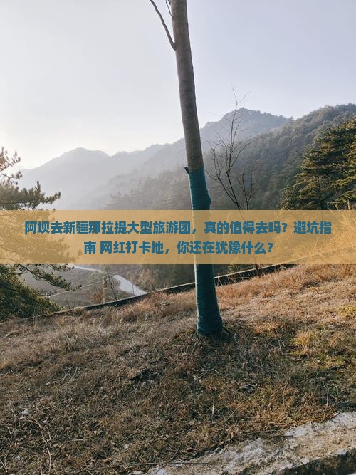 阿坝去新疆那拉提大型旅游团