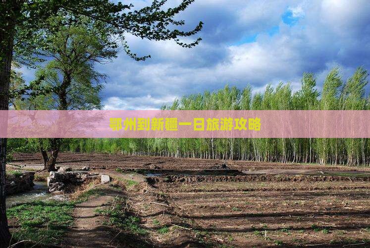 鄂州到新疆一日
