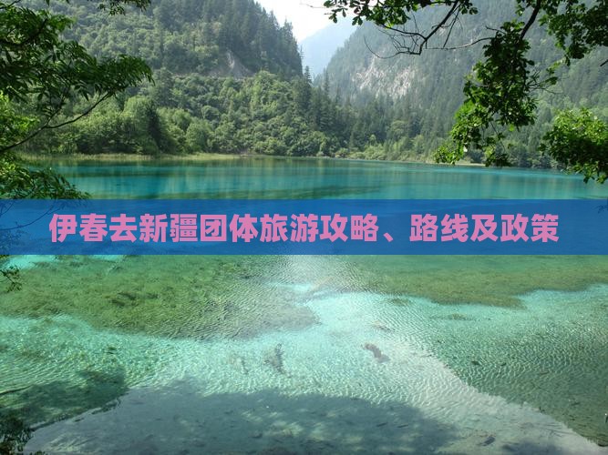 伊春去新疆团体旅游