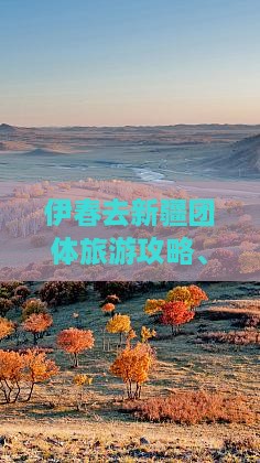伊春去新疆团体旅游