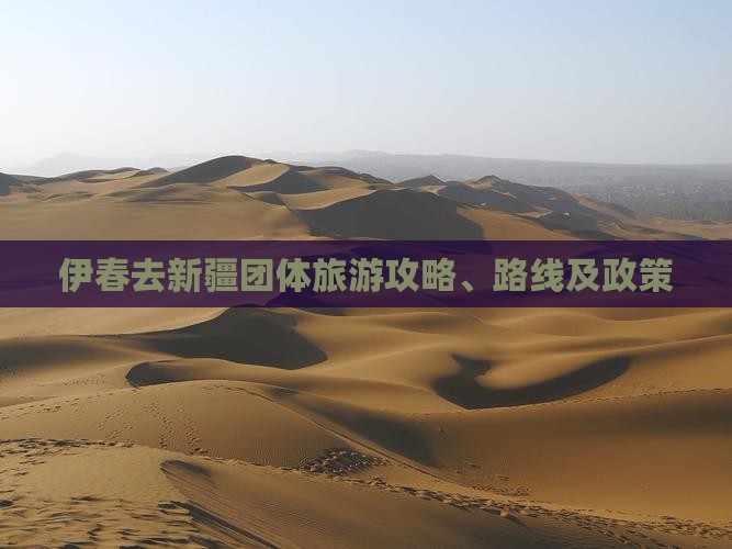 伊春去新疆团体旅游