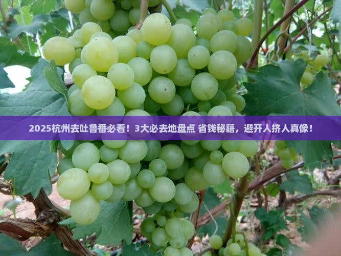 杭州到新疆吐鲁番必去地
