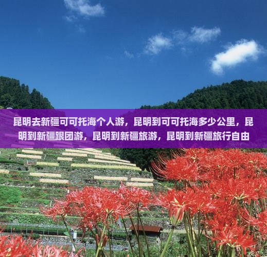 昆明去新疆可可托海个人游