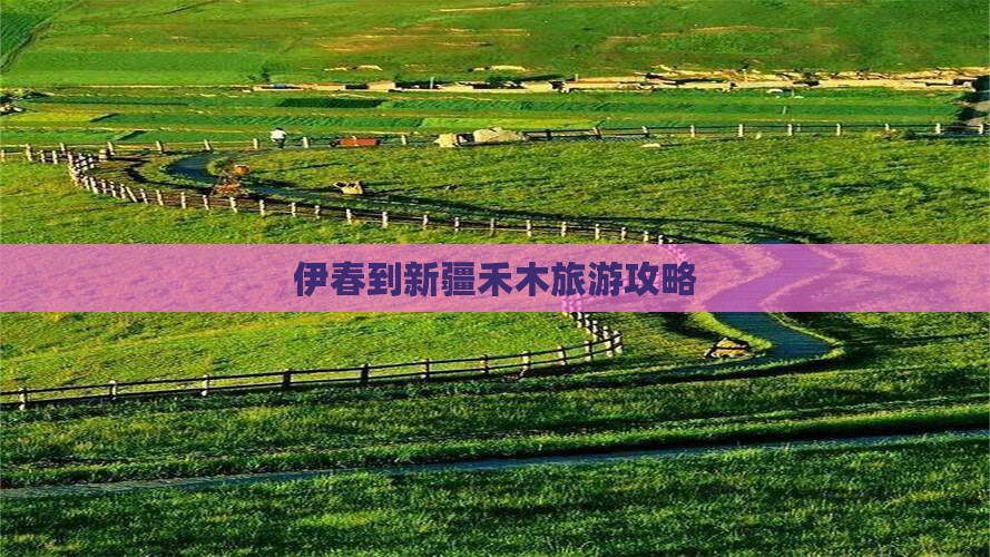 伊春到新疆禾木攻略
