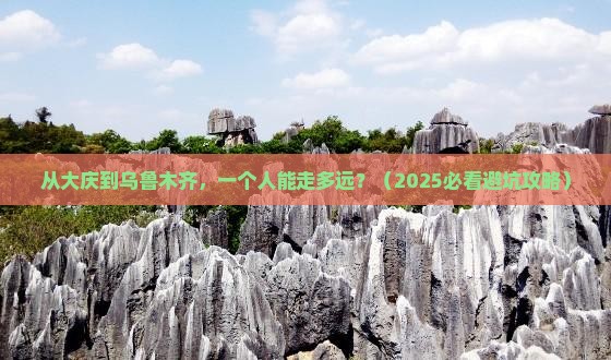 大庆到新疆乌鲁木齐个人游