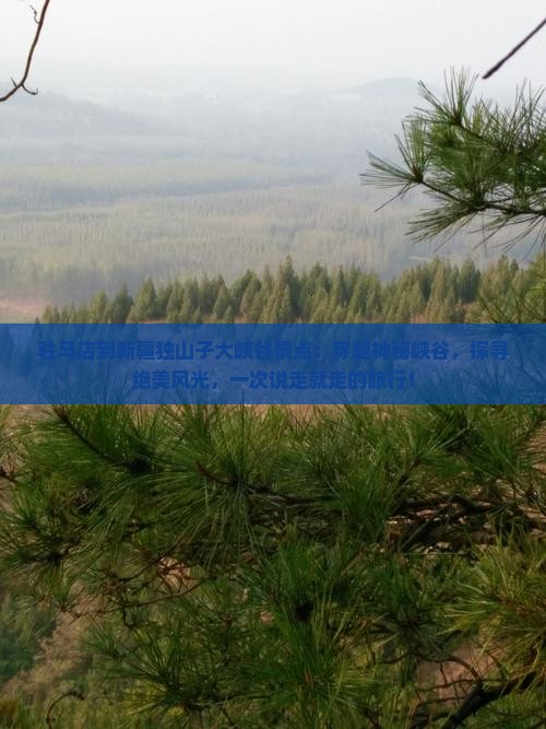 驻马店到新疆独山子大峡谷景点