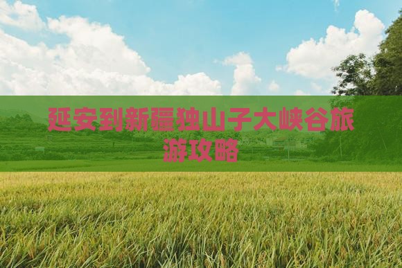 延安到新疆独山子大峡谷门票