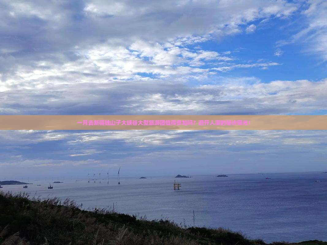一月去新疆独山子大峡谷大型旅游团