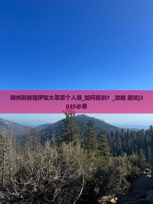 锦州到新疆伊犁大草原个人游