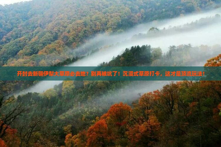 开封去新疆伊犁大草原必去地