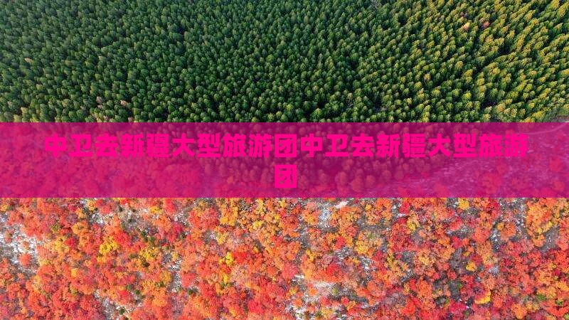 中卫去新疆大型旅游团