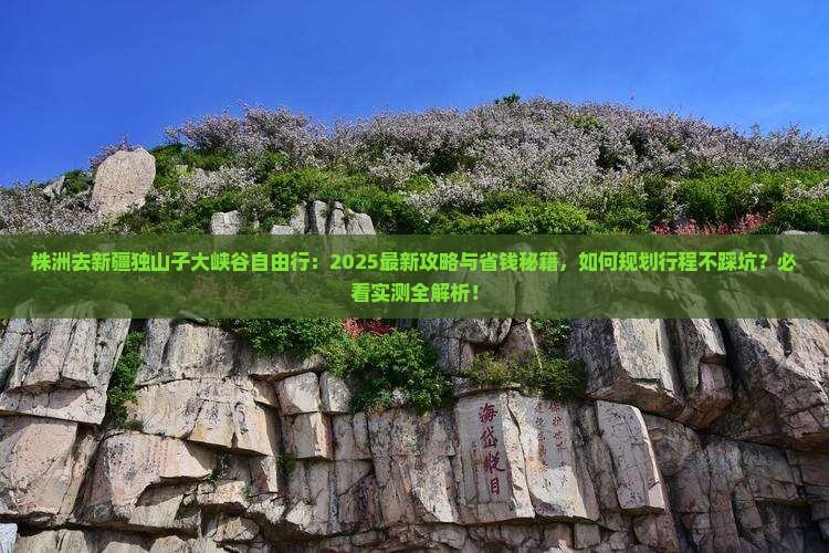 株洲去新疆独山子大峡谷自由行