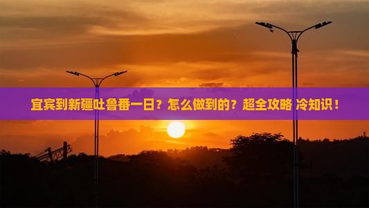宜宾到新疆吐鲁番一日