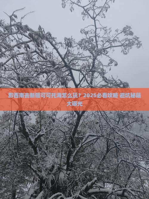 黔西南去新疆可可托海旅行社