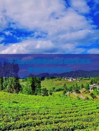 平顶山去新疆喀纳斯自由团
