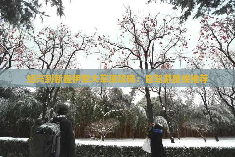 绍兴到新疆伊犁大草原攻略：自驾游路线推荐