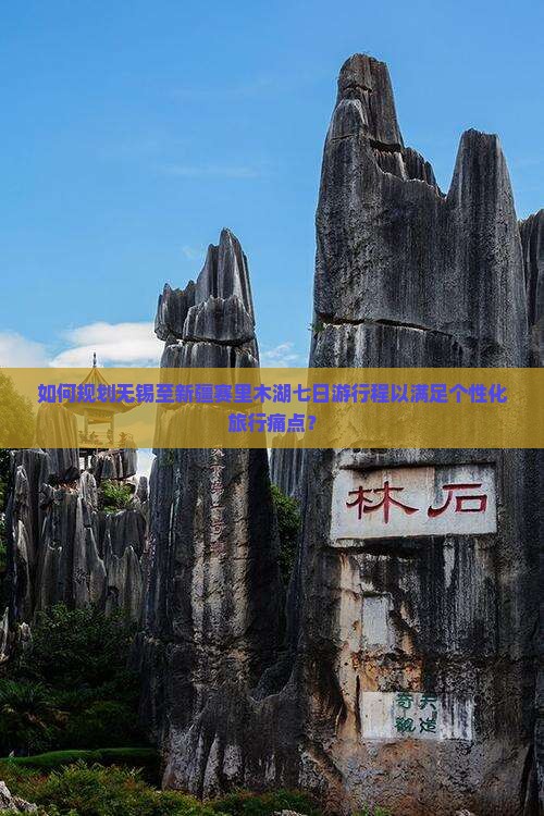 如何规划无锡至新疆赛里木湖七日游行程以满足个性化旅行痛点？