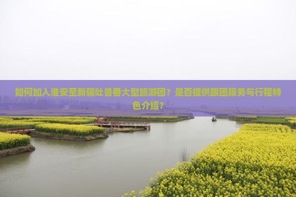 如何加入淮安至新疆吐鲁番大型旅游团？是否提供跟团服务与行程特色介绍？