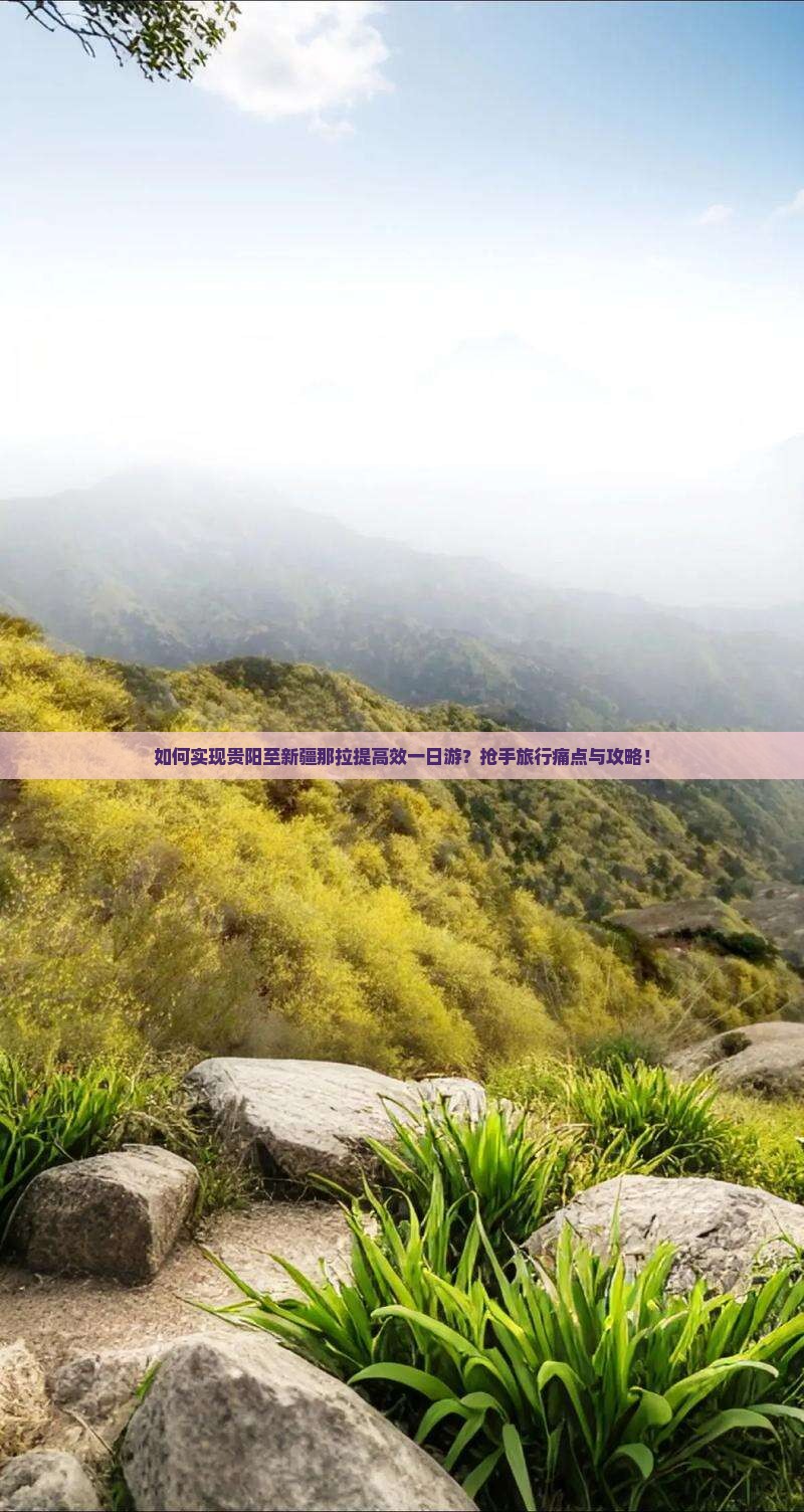 如何实现贵阳至新疆那拉提高效一日游？抢手旅行痛点与攻略！