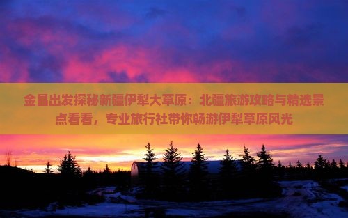 金昌出发探秘新疆伊犁大草原：北疆旅游攻略与精选景点看看，专业旅行社带你畅游伊犁草原风光