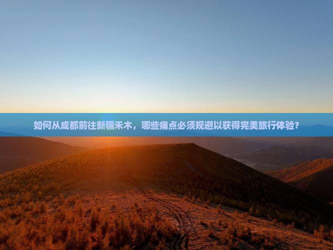 如何从成都前往新疆禾木，哪些痛点必须规避以获得完美旅行体验？