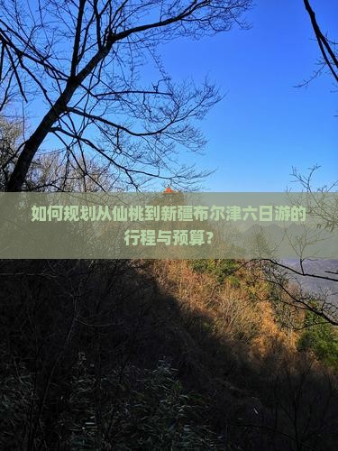 如何规划从仙桃到新疆布尔津六日游的行程与预算？