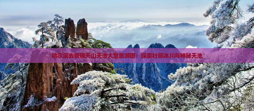 哈尔滨去新疆天山天池大型旅游团：探索壮丽冰川与神秘天池