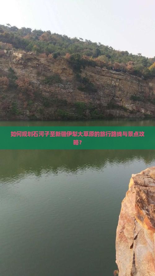 如何规划石河子至新疆伊犁大草原的旅行路线与景点攻略？