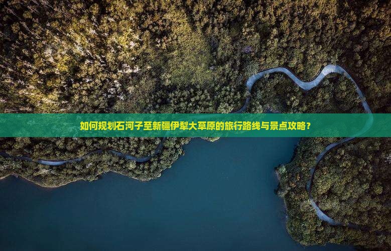 如何规划石河子至新疆伊犁大草原的旅行路线与景点攻略？