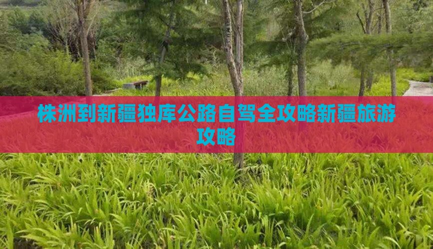 株洲到新疆独库公路自驾全攻略新疆旅游攻略