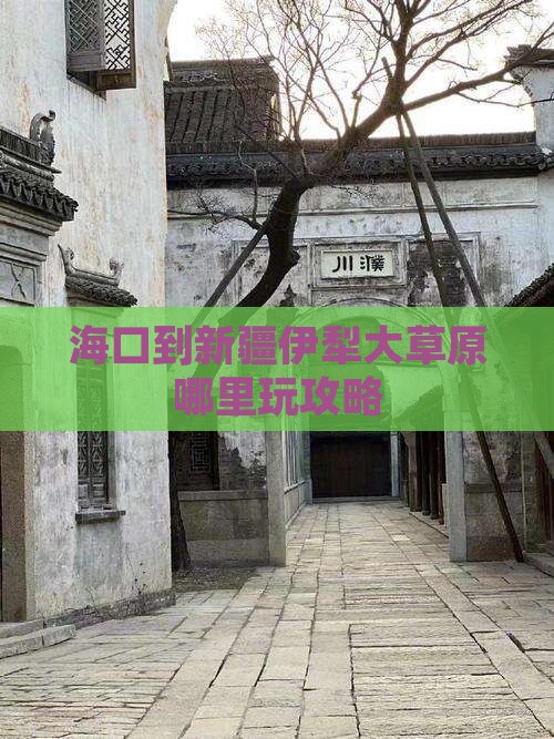 海口到新疆伊犁大草原哪里玩攻略