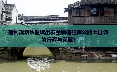 如何规划从盐城出发至新疆独库公路七日游的行程与预算？