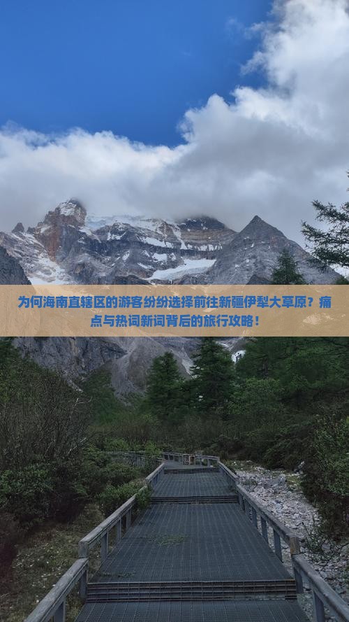 为何海南直辖区的游客纷纷选择前往新疆伊犁大草原？痛点与热词新词背后的旅行攻略！