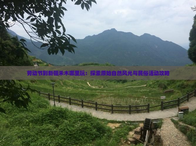 劳动节到新疆禾木哪里玩：探索原始自然风光与民俗活动攻略