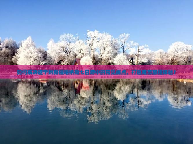 如何解决遂宁到新疆喀纳斯七日游中的常见痛点，打造难忘旅程体验？