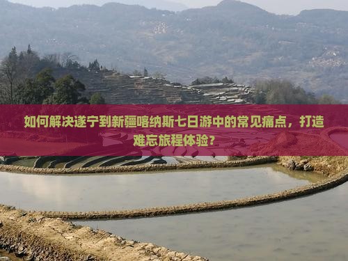 如何解决遂宁到新疆喀纳斯七日游中的常见痛点，打造难忘旅程体验？