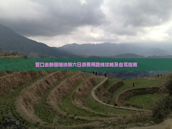 营口去新疆喀纳斯六日游费用路线攻略及自驾指南