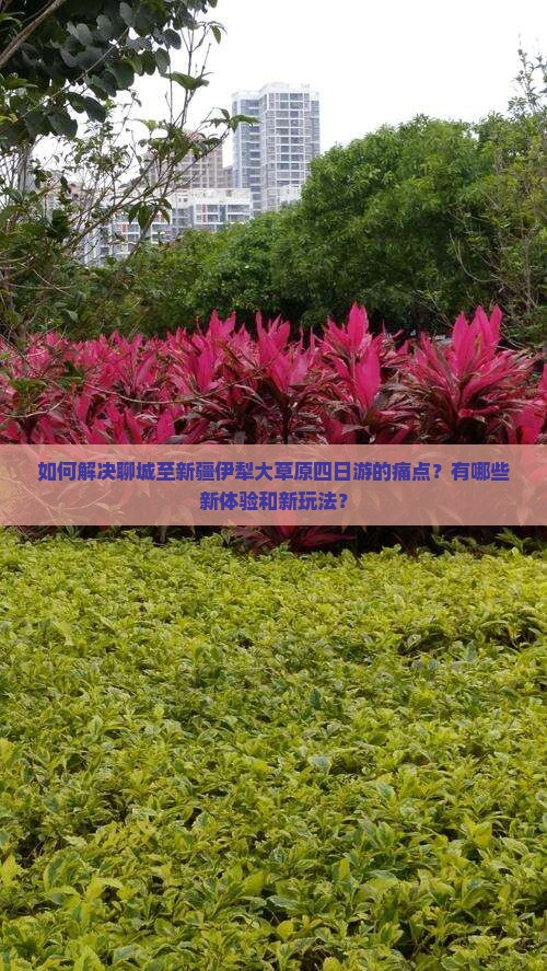 如何解决聊城至新疆伊犁大草原四日游的痛点？有哪些新体验和新玩法？