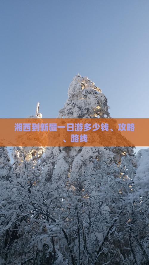 湘西到新疆一日游多少钱、攻略、路线