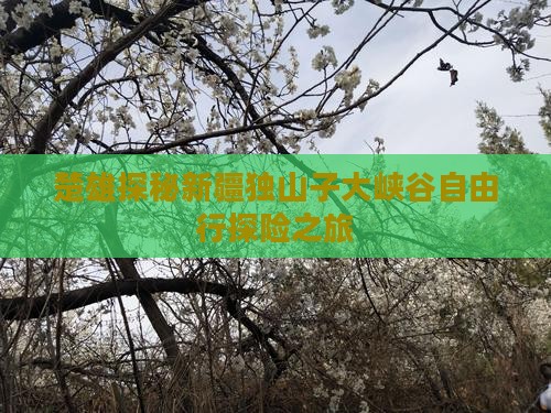 楚雄探秘新疆独山子大峡谷自由行探险之旅
