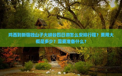 鸡西到新疆独山子大峡谷四日游怎么安排行程？费用大概是多少？需要准备什么？