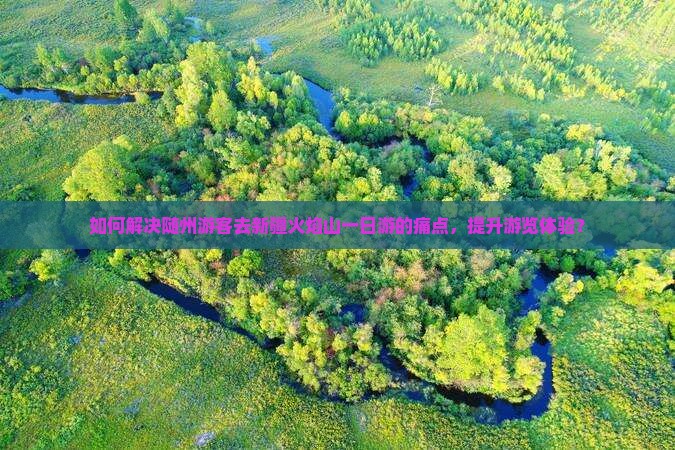 如何解决随州游客去新疆火焰山一日游的痛点，提升游览体验？
